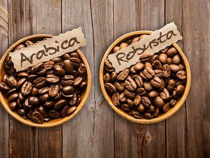 Antara Robusta dan Arabika, Mana Kopi yang Lebih Sehat?