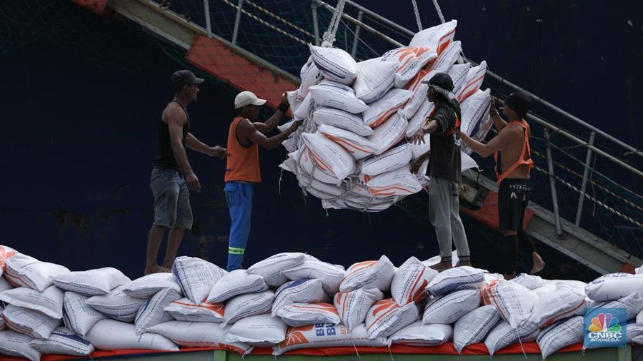 Sejumlah pekerja melakukan bongkar muat beras beras impor asal Vietnam tiba di Pelabuhan Tanjung Priok, Jakarta, Rabu (22/1/2023).  (CNBC Indonesia/Tri Susilo)