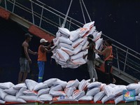 Siap-Siap! 100 Ribu Ton Beras Impor Mau Masuk RI, Ini Asalnya