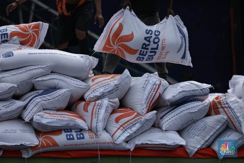 Bongkar muat beras beras impor asal Vietnam Sejumlah pekerja melakukan bongkar muat beras beras impor asal Vietnam tiba di Pelabuhan Tanjung Priok, Jakarta, Rabu (22/1/2023). (CNBC Indonesia/Tri Susilo)