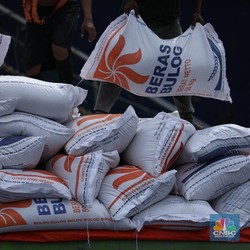 Jokowi Tiba-tiba Perintahkan Tumpuk Stok Beras, Ada Ada?