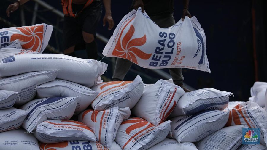 Sejumlah pekerja melakukan bongkar muat beras beras impor asal Vietnam tiba di Pelabuhan Tanjung Priok, Jakarta, Rabu (22/1/2023).  (CNBC Indonesia/Tri Susilo)