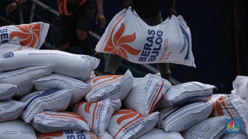 Sejumlah pekerja melakukan bongkar muat beras beras impor asal Vietnam tiba di Pelabuhan Tanjung Priok, Jakarta, Rabu (22/1/2023).  (CNBC Indonesia/Tri Susilo)