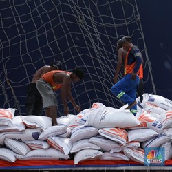 Ngeri! RI Tiba-Tiba Defisit 2,8 Juta Ton Beras, Ada Apa?