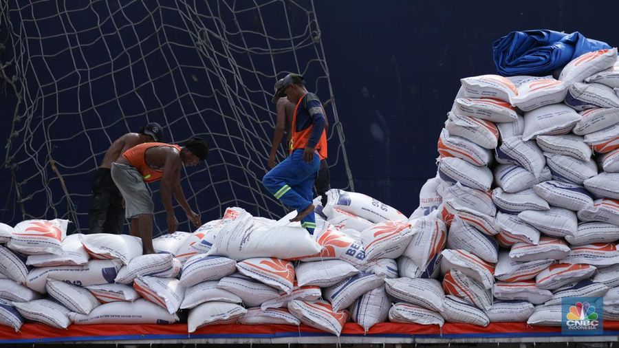 Sejumlah pekerja melakukan bongkar muat beras beras impor asal Vietnam tiba di Pelabuhan Tanjung Priok, Jakarta, Rabu (22/1/2023).  (CNBC Indonesia/Tri Susilo)