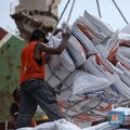 Pengumuman! Pemerintah Tambah Impor Beras Tahun Ini 1,6 Juta Ton