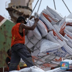 Badan Pangan Buka-bukaan Data Beras RI Sampai Harus Impor
