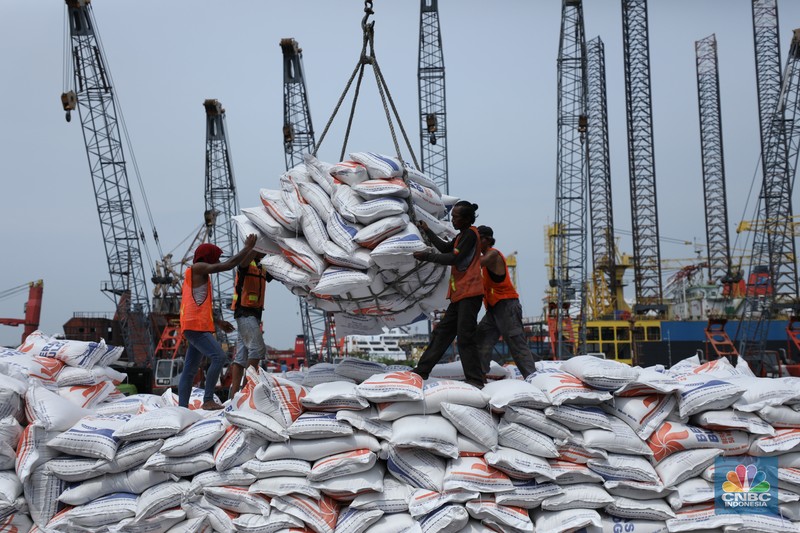 Bongkar muat beras beras impor asal Vietnam Sejumlah pekerja melakukan bongkar muat beras beras impor asal Vietnam tiba di Pelabuhan Tanjung Priok, Jakarta, Rabu (22/1/2023). (CNBC Indonesia/Tri Susilo)