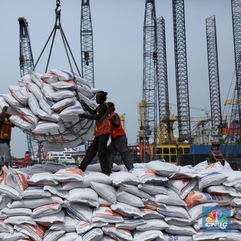 Ini Penampakan 24.000 Ton Beras Impor Asal Pakistan di JKT