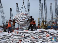 Ini Penampakan 24.000 Ton Beras Impor Asal Pakistan di JKT