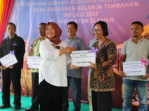 Dapat Insentif, Pemkab Sleman Beri Bantuan 15 Sarana Budidaya Ikan Nila