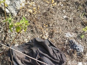 Hampir Sebulan Hilang, Pensiunan Guru Ditemukan Tinggal Kerangka di Hutan