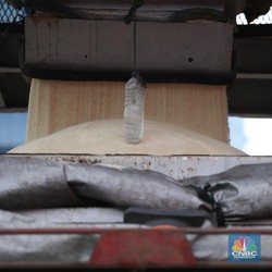 Kisah RI Pertama Kali Impor Gula, Terjadi di Era Presiden Ini