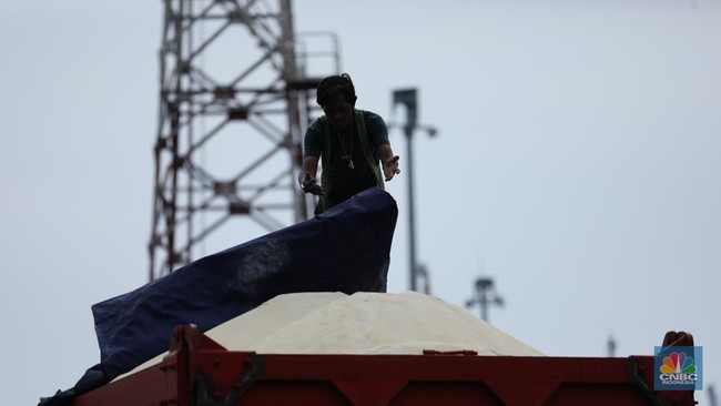 Ada yang Tak Beres! Dulu Raja Gula Dunia, RI Kini Tukang Impor 'Abadi'