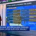IPO Produsen Sarung Tangan Latex SURI Mahal, Layak Dinanti?