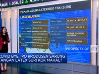 IPO Produsen Sarung Tangan Latex SURI Mahal, Layak Dinanti?