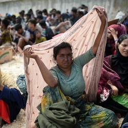Janji Jokowi: Bantu Pengungsi Rohingya yang Masuk ke Aceh