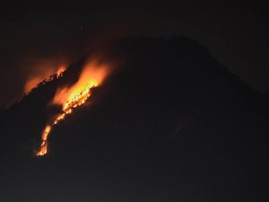 Luas Hutan di Gunung Panderman Kota Batu yang Terbakar 3,5 Hektare
