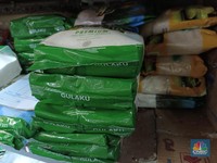 Harga Gula Makin Ugal-ugalan, di Jakarta Terbang ke Rp17.000