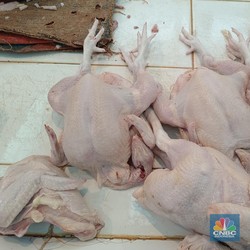 Riset Terbaru: 90% Daging Sapi, Ayam, Tahu Mengandung Mikroplastik