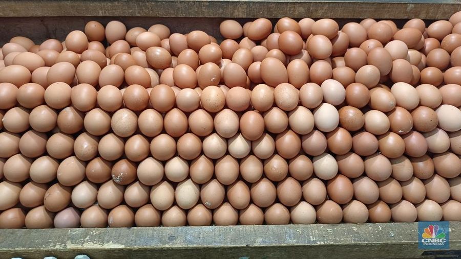 Harga telur dan daging ayam di Pasar Jaya Gondangdia, Jakarta Pusat. (CNBC Indonesia/Martyasary