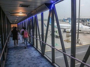 Pneumonia Muncul di China, RI Tidak Berlakukan Travel Ban