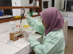Mahasiswa UGM Bikin Obat Kanker Kolon dari Nanas, Begini Studinya