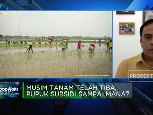 Musim Tanam Telah Tiba, Pupuk Subsidi Sampai Mana?