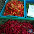Kacau! Harga Cabai Rawit Merah di DKI Terbang ke Rp120.000
