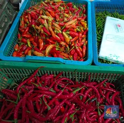 Kacau! Harga Cabai Rawit Merah di DKI Terbang ke Rp120.000