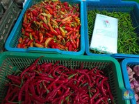 Kacau! Harga Cabai Rawit Merah di DKI Terbang ke Rp120.000