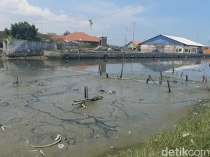 Kapal Nelayan di Tegal Tak Bisa Melaut Akibat Pendangkalan Muara Kali Bacin