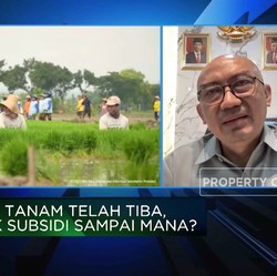 Pupuk Subsidi Belum Tepat Sasaran, Kementan Janjikan Ini!