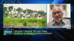Pupuk Subsidi Belum Tepat Sasaran, Kementan Janjikan Ini!