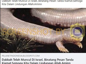 Heboh Hewan Tanda Kiamat Muncul di Israel, Faktanya?