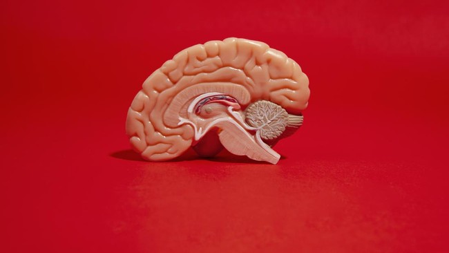 7 Kebiasaan Sederhana yang Bisa Kurangi Pikun di Usia Muda