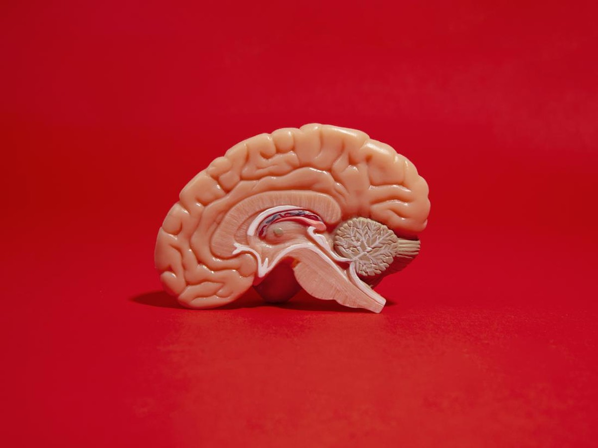 5 Cara Sederhana Tingkatkan Daya Ingat untuk Kecerdasan Otak Lebih Optimal