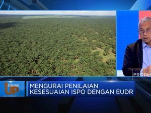 Masa Depan Sawit RI Terancam, Pemerintah Diminta Lakukan Ini