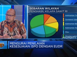Sawit RI Dijegal Eropa, Apa Dampaknya Bagi Petani?