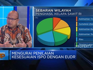 Sawit RI Dijegal Eropa, Apa Dampaknya Bagi Petani?