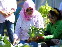 Sukses Bertani bersama BRI, Ini Kisah di Mrican Caturtunggal