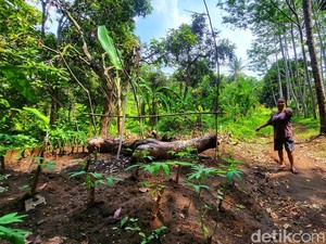 Terbongkarnya Markas WNA Ilegal di Sukabumi