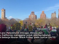 Demonstrasi Pro-Palestina Warnai Musim Belanja 