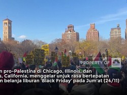 Demonstrasi Pro-Palestina Warnai Musim Belanja "Black Friday"
