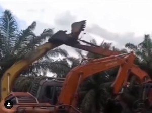 Viral Duel Ekskavator di Siak Riau hingga Ada yang Oleng