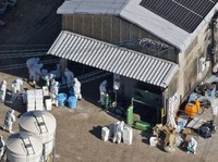 Jepang Bunuh 40.000 Burung di Peternakan Terdeteksi Flu H5