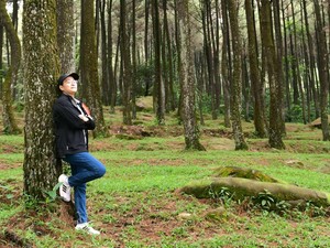 Hutan Pinus Gunung Pancar, Lokasi Sri Mulyani Nikmati Weekend