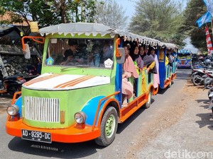Kereta Kelinci Hilir Mudik di Pantai Parangtritis, Dispar: Diizinkan