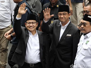 Anies Mau Kejar Pajak 100 Orang Terkaya RI, Seperti Berburu di Kebun Binatang?