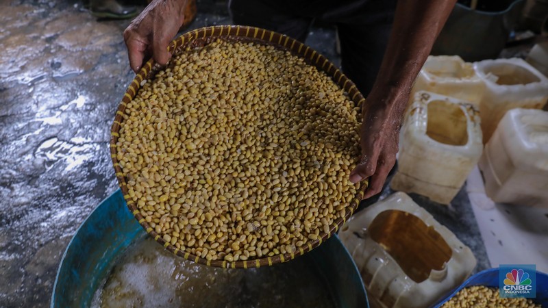 Pekerja menggiling kedelai pada salah satu pabrik tahu di Jakarta, Senin (27/11/2023). Pabrik tahu milik Haji Imroni tetap melakukan produksi seperti biasa meski harga kacang kedelai di pasaran telah menembus Rp 17.300/Kg dari yang sebelumnya Rp 13.000/Kg. (CNBC Indonesia/Faisal Rahman) Pekerja menggiling kedelai pada salah satu pabrik tahu di Jakarta, Senin (27/11/2023). Pabrik tahu milik Haji Imroni tetap melakukan produksi seperti biasa meski harga kacang kedelai di pasaran telah menembus Rp 17.300/Kg dari yang sebelumnya Rp 13.000/Kg. (CNBC Indonesia/Faisal Rahman)